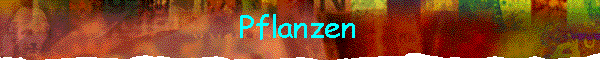 Pflanzen